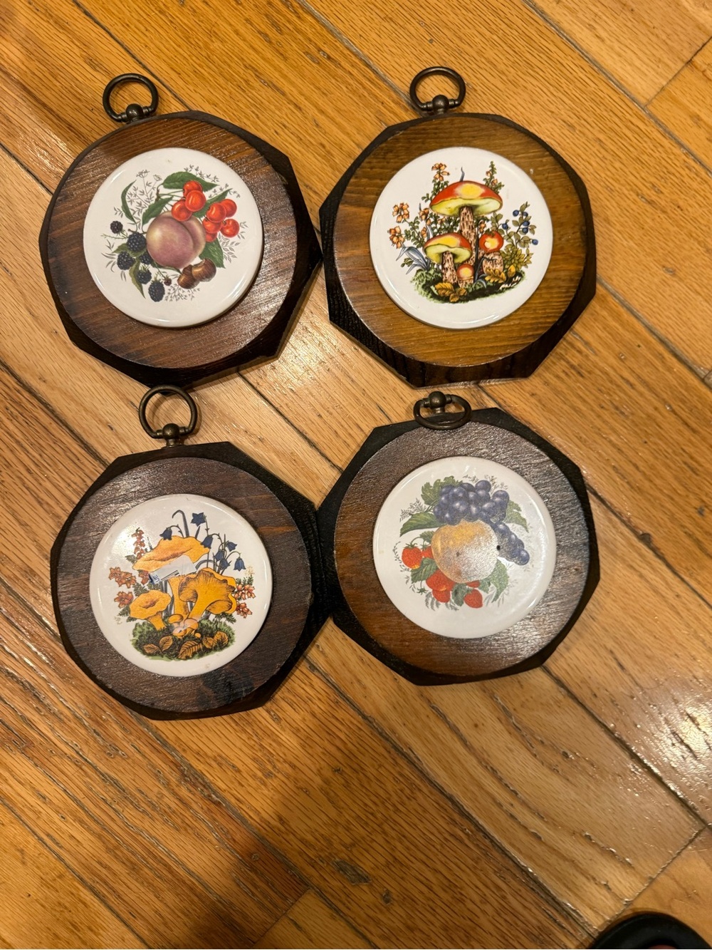 Jerry Schultz Set of 4 Framed Ceramic Fruit & Mushroom Wall Plaques - Brown Wood